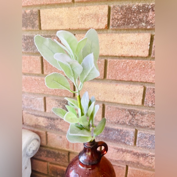 *Lamb’s Ear Pick, 13”, Bundle of 3 - Picture 8 of 13